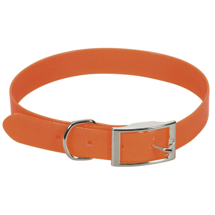 Collier chien orange