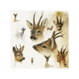Serviettes de table en papier Brocard