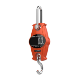 Peson électronique 0/300 kg