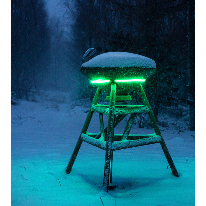 Bandeau LED verte