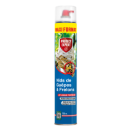 Aérosol 750ml Nids de Guêpes et Frelons Maxi Format de PROTECT EXPERT