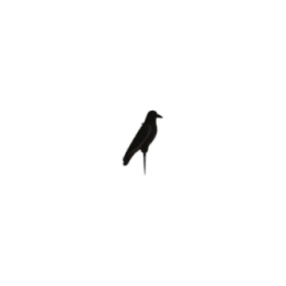 Grand corbeau floqué
