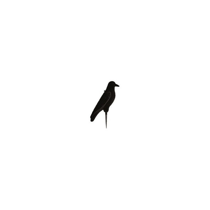 Grand corbeau floqué