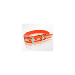 Collier pour chien phosphorescent ORANGE